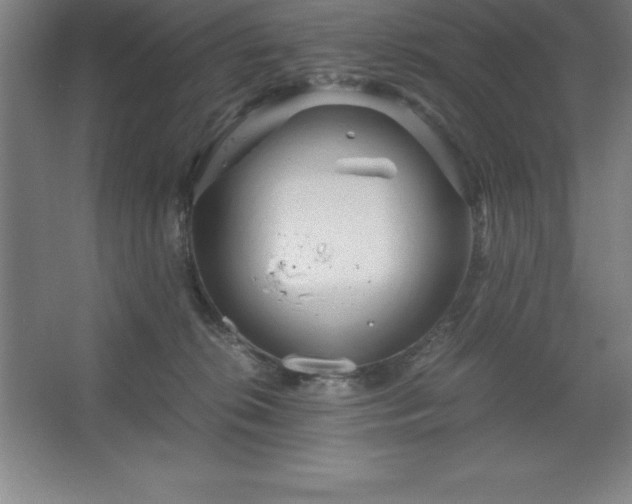 X0000062650276200512281655