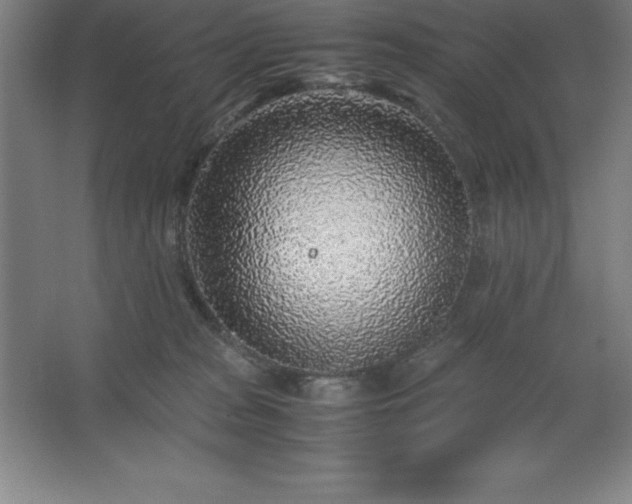 X0000062650277200512281655