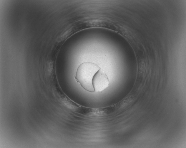 X0000062650278200512281655