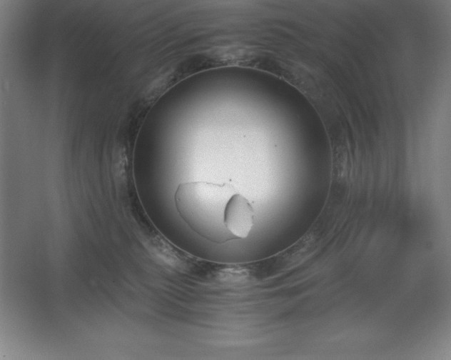 X0000062650279200512281655