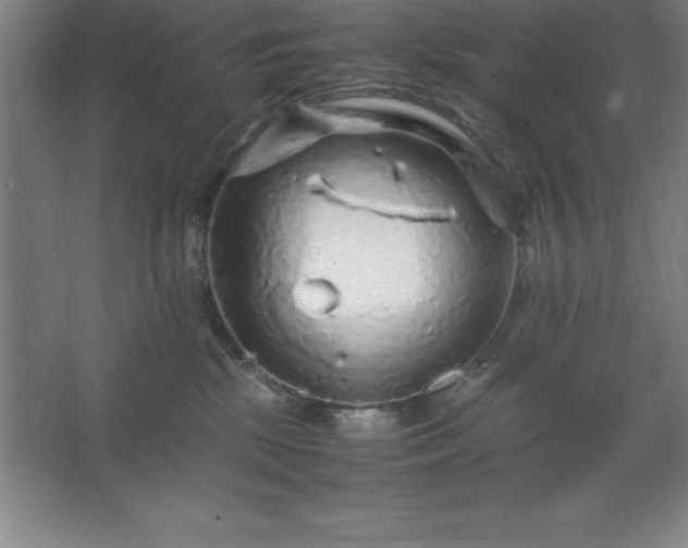 X0000062650281200512281655