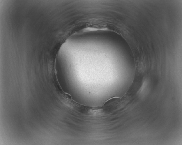 X0000062650283200512281655