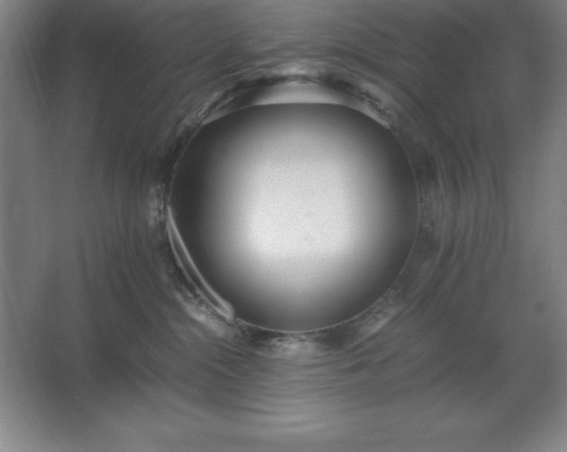 X0000062650284200512281655