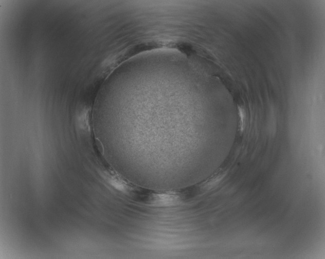 X0000062650286200512281655