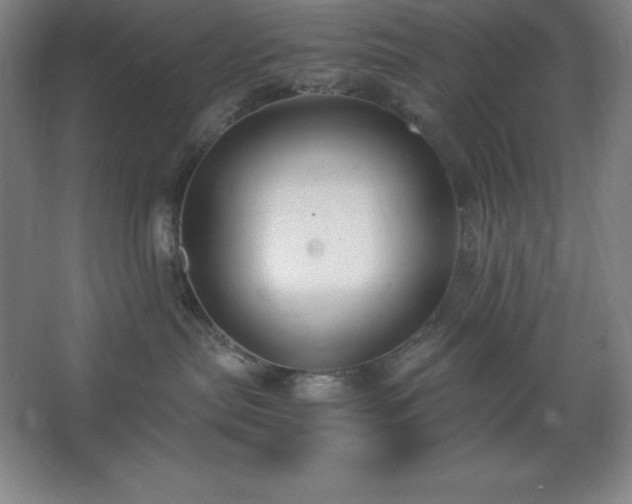 X0000062650287200512281655