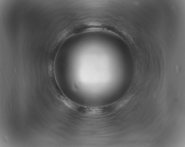 X0000062650288200512281655