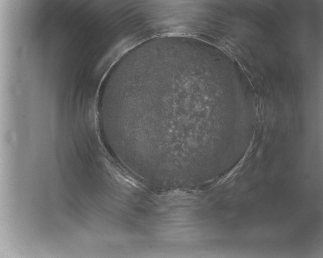 X0000062650290200512281654