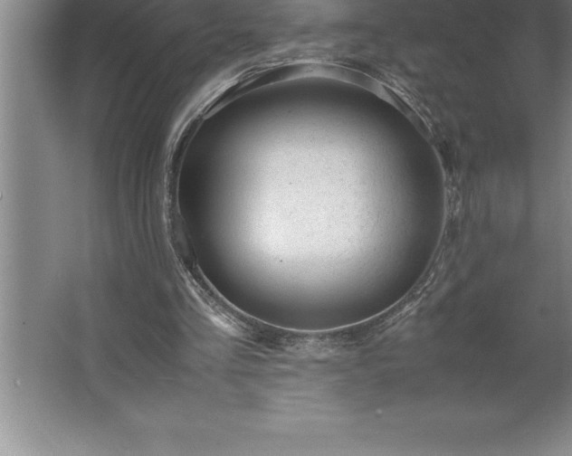 X0000062650293200512281654