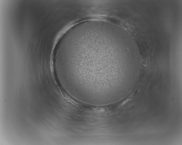 X0000062650294200512281654