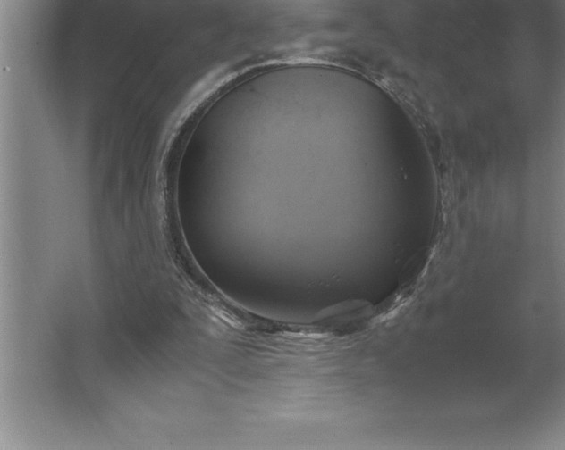 X0000062650295200512281654