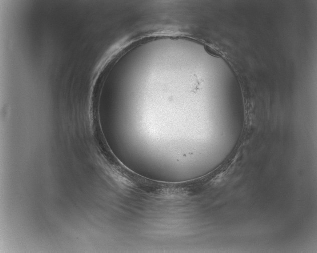 X0000062650296200512281654