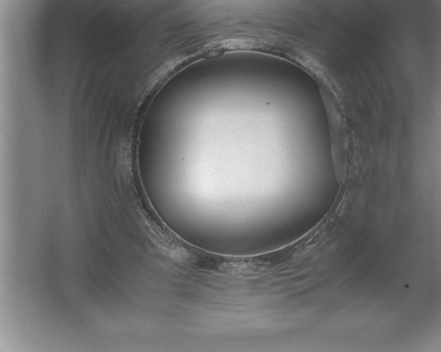 X0000062650297200512281654