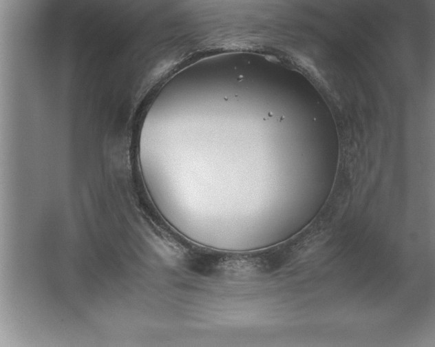 X0000062650299200512281654