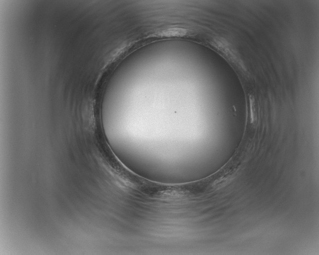 X0000062650300200512281654