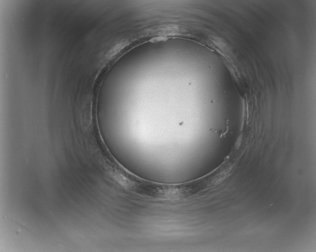 X0000062650301200512281654