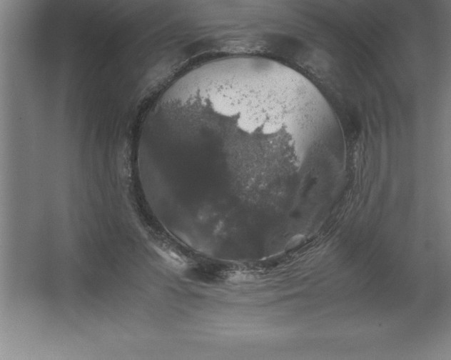 X0000062650303200512281654