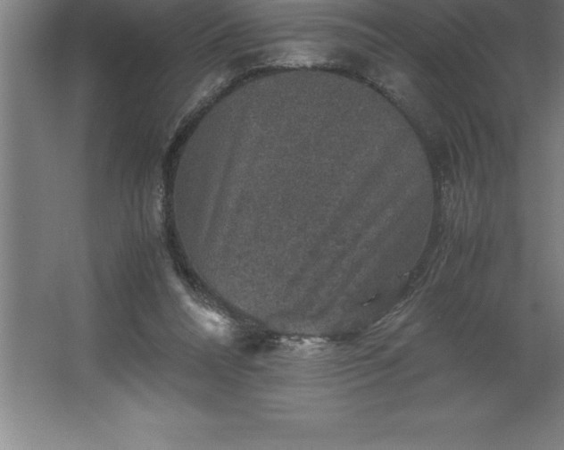 X0000062650304200512281654