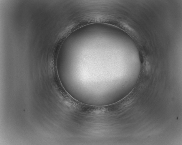 X0000062650306200512281654