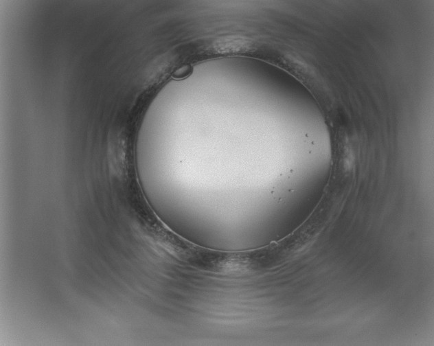 X0000062650308200512281654