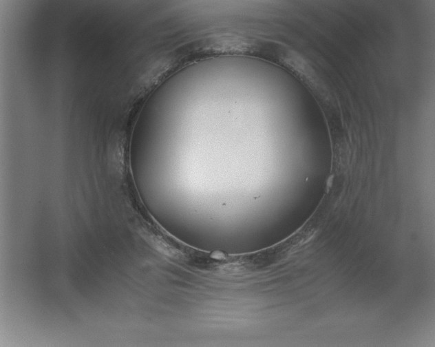 X0000062650309200512281654