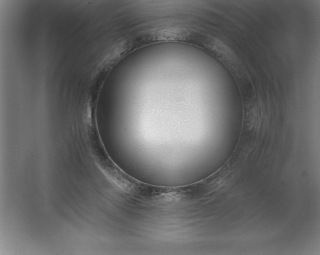 X0000062650310200512281654