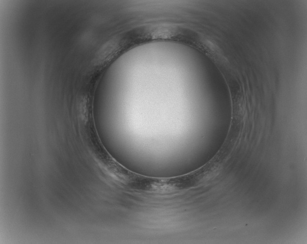 X0000062650311200512281654