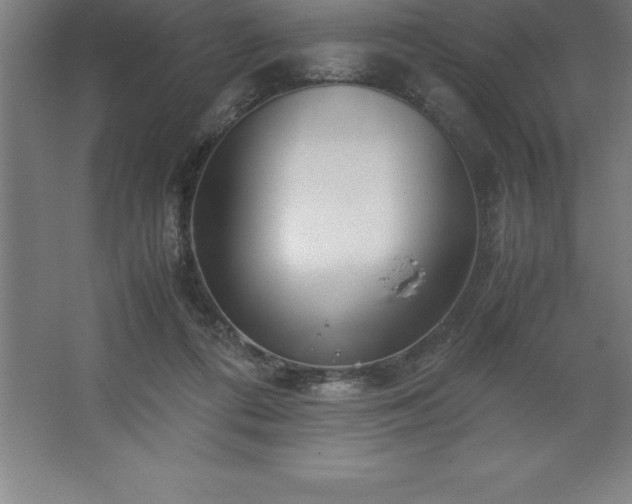 X0000062650312200512281654