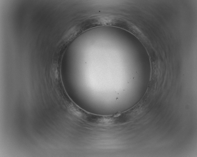 X0000062650313200512281654