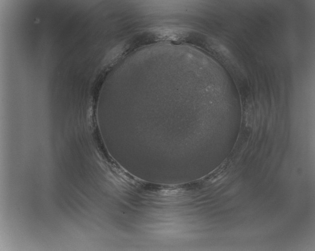 X0000062650314200512281654