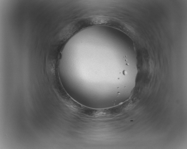 X0000062650315200512281654