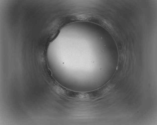 X0000062650317200512281654