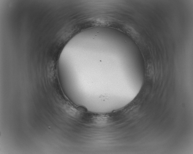 X0000062650318200512281654