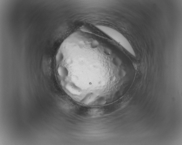 X0000062650319200512281654