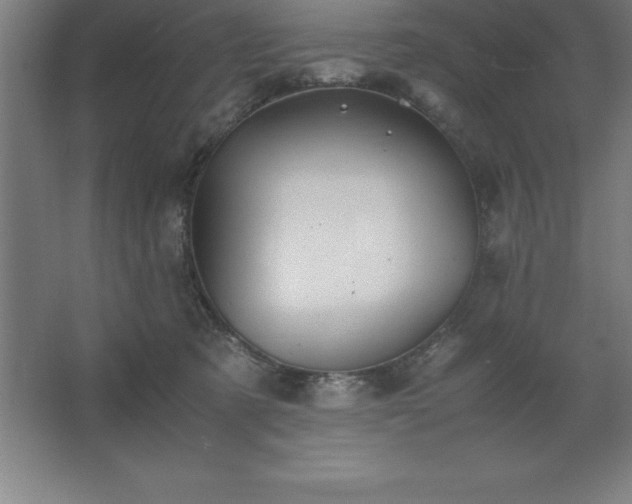 X0000062650321200512281654