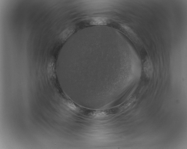 X0000062650322200512281654