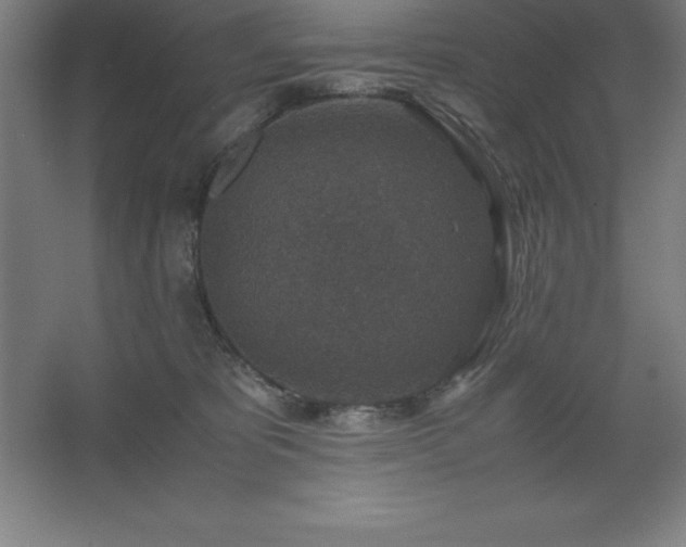 X0000062650325200512281654