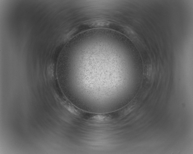 X0000062650326200512281654