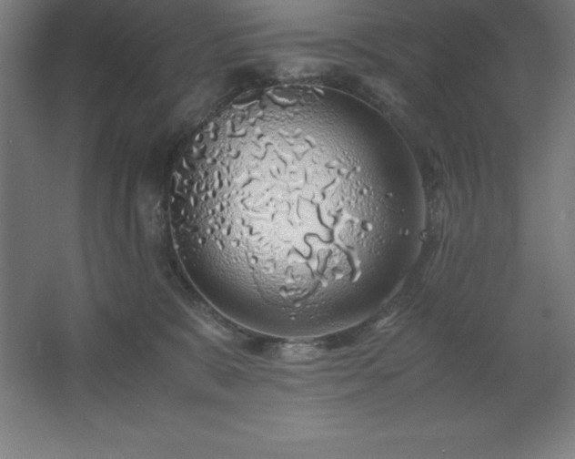 X0000062650327200512281654