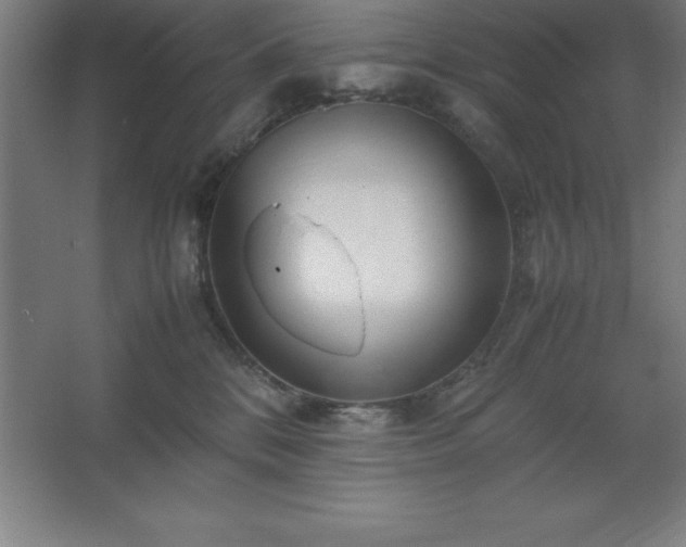 X0000062650328200512281654