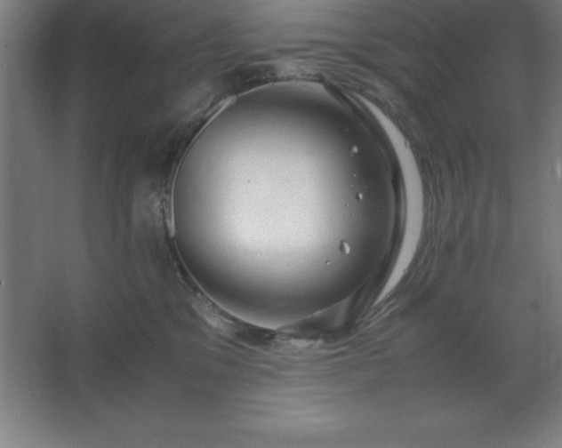 X0000062650329200512281653