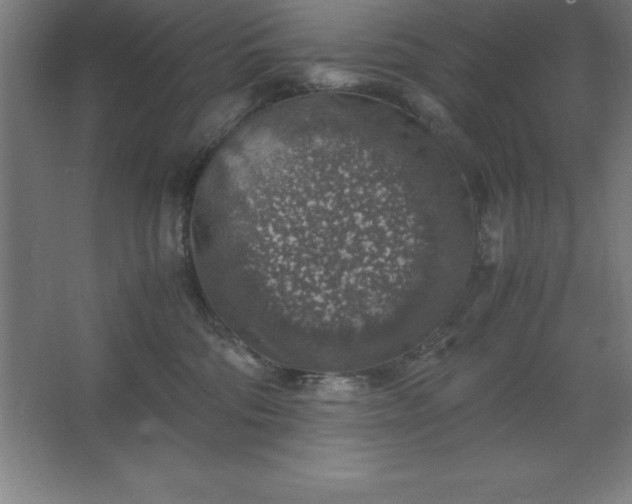 X0000062650330200512281653