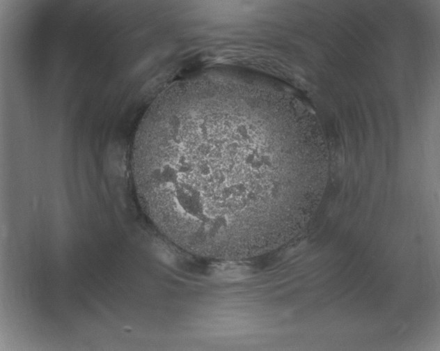 X0000062650331200512281653