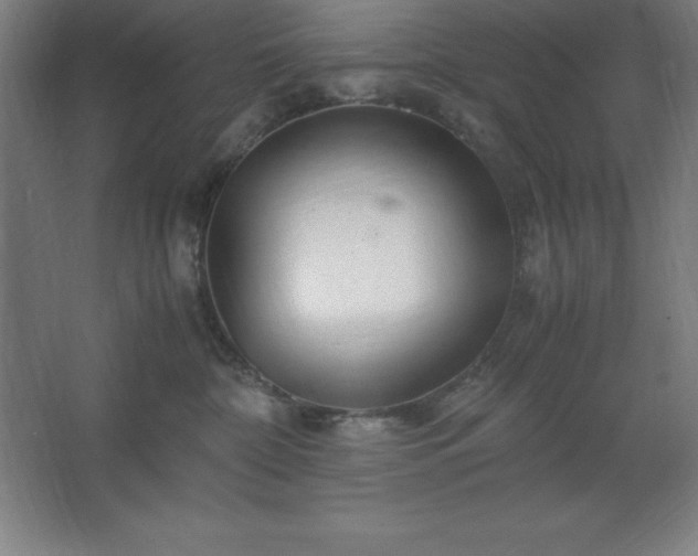 X0000062650332200512281653