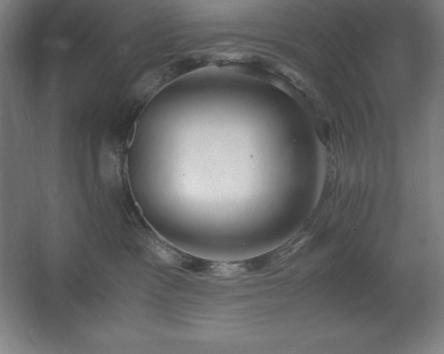 X0000062650333200512281653