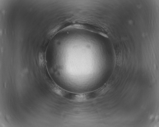 X0000062650335200512281653