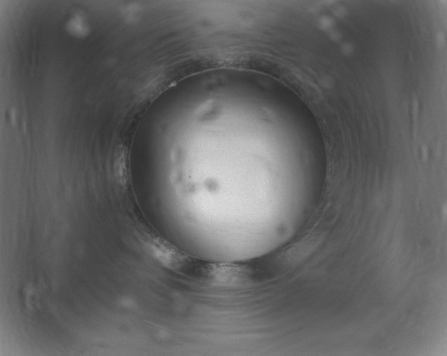 X0000062650336200512281653