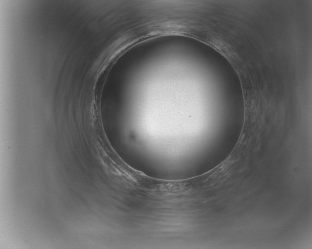 X0000062650338200512281653