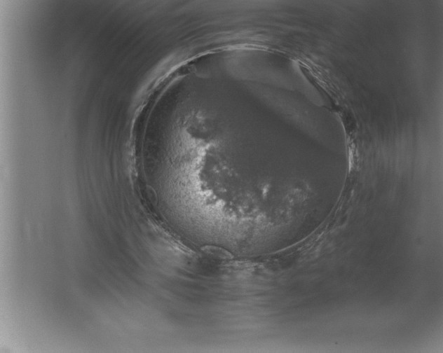 X0000062650339200512281653