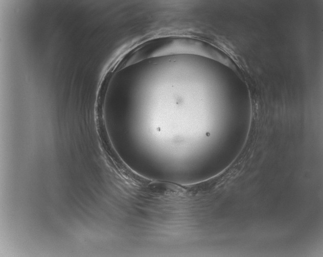 X0000062650340200512281653