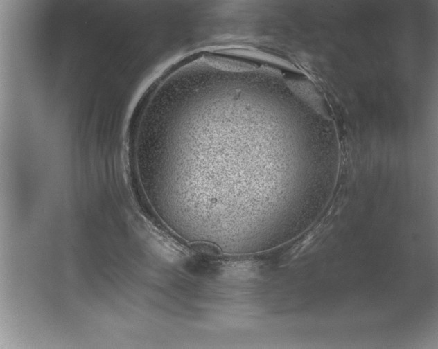 X0000062650342200512281653